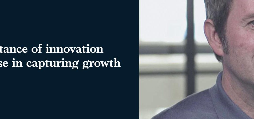 The importance of innovation and purpose in capturing growth (McKinsey)