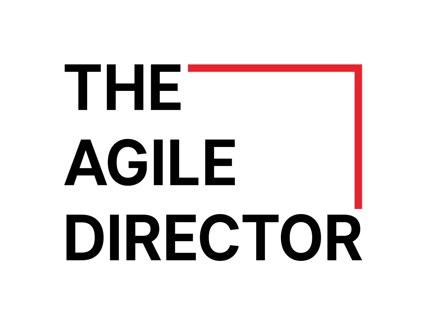 The Agile Director